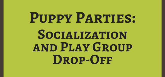 Puppy Party: Socialization & Play Group Drop-off